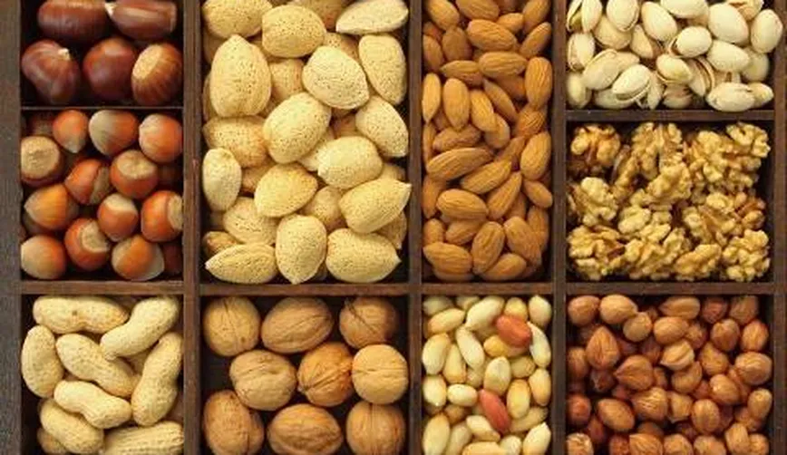 Turkey nuts and grains wholesale